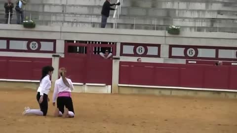 Funny Bullfighting Videos