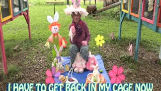 SNAPPIN' GRANNIES - FUNNY BUNNY BIRTHDAY WISHES