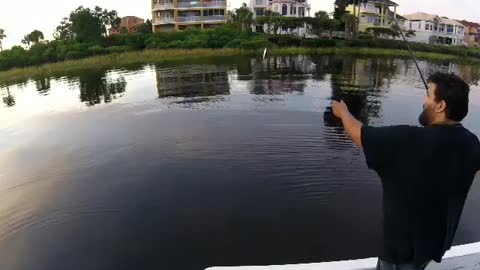 Fishing redfish