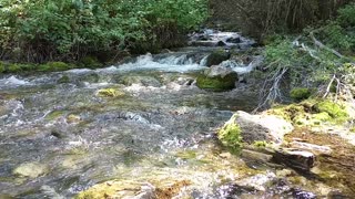 Spring Hollow Logan Canyon