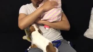 Jealous Puppy Tries To Steal Owner’s Attention From Newborn Baby