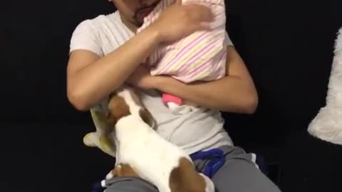 Jealous Puppy Tries To Steal Owner’s Attention From Newborn Baby