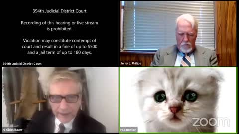 Kitten Lawyer wants to be taken seriously