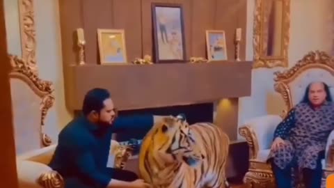 Tiger's Tune: Chahat Fateh Ali Khan's Wild Duet!