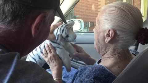Mom chats with stuffed Tiger . . . adorable!