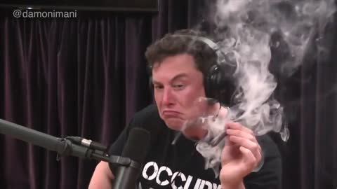 Elon Musk and Twitter employee reinstate Alex Jones’s account live on Joe Rogan’s podcast