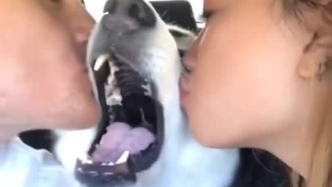 No kisses in front of this dog.