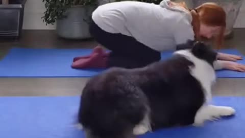 Cute Yoga Partner