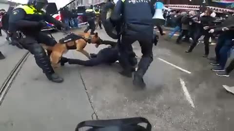 Amsterdam: People mauled by police dogs, beaten with batons at ‘unauthorized protest’ against Covid restrictions