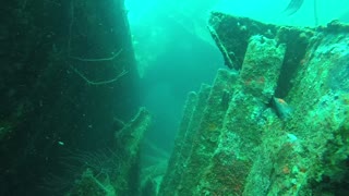 Incredible ShipWreck Dive