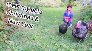Meet my pets - Christmas & New Year