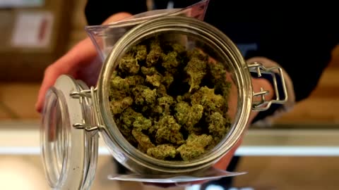 NY, VA move to legalize marijuana