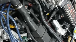 1995 Ford Thunderbird Open Kooks Headers2