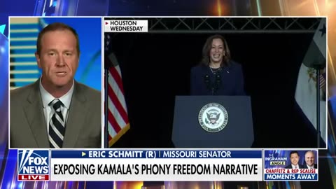 Democrats will try to ‘hide’ Kamala Harris_ GOP lawmaker