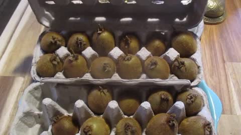 Best way to store fresh Kiwi fruit