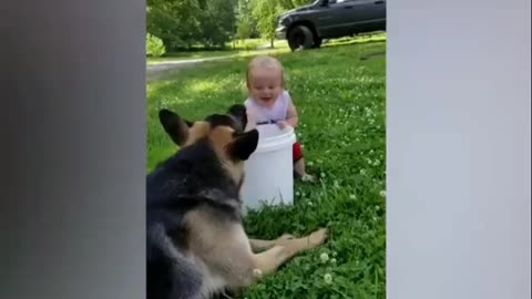 Funny puppies and Funny child part 2