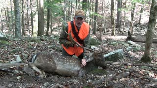 HANDGUN HUNTING - Handgun hunting Fallow deer with S&W 686