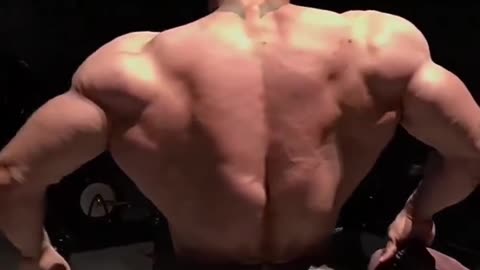 The beast bigger back