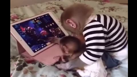 Funniest Monkey cute and funny monkey videos