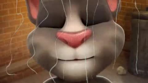 Talking Tom Funny Video