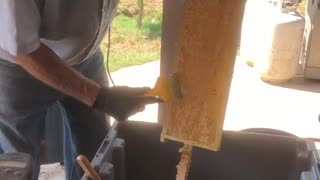 Scrapping Honey