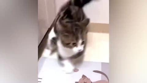 Best Funny Animal Videos Of The 2022🤣Funniest Cats And Dogs Videos😺😍