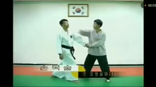 Hapkido