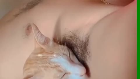 Crazy Cat lick his master Armpit