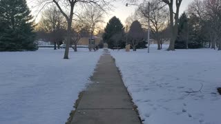 Walk in the park in winter ( snow)
