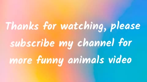 Roaring with Laughter: Funny Animals Video Compilation 🤣😂