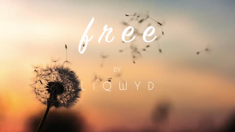 LiQWYD - Free