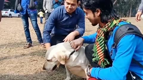 Free dog training step by step full video| Easy and fast| Sit and down|watch now