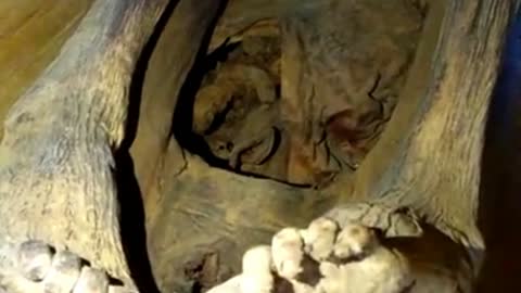 Tattooed Mummies of Benguet, Philippines