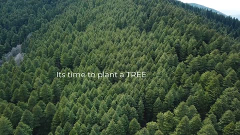 Plant Tree, Save The Planet.