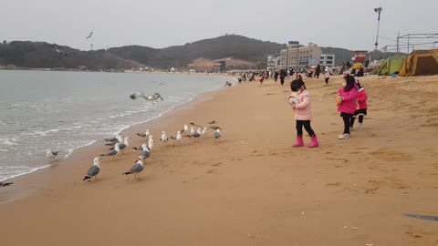 Children feeding seagulls on the beach.