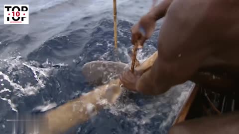 Fishing sharks with bare hands