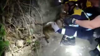 Firefighters Save Trapped Puppy In Pipe In Tourist Spot