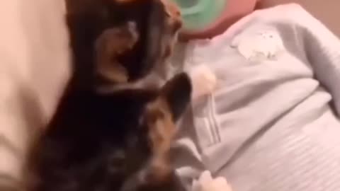 Funny cat and baby 😅 don't laughing 🤣