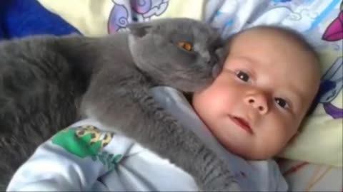 Cute Babies and Pets | Cat Protecting Little Babies