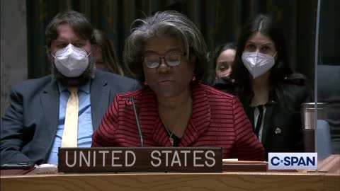 US at UN Security Council: There are no Ukrainian biological weapon laboratories supported by the U.S.