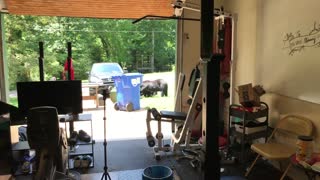Bear Family Admires Garage Gym Setup