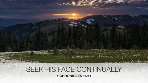 Seek His Face Continually