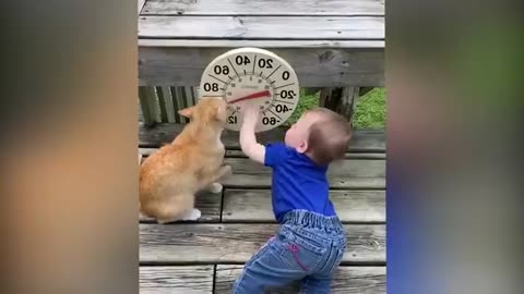 Cutest Babies Play With Dogs And Cats Compilation