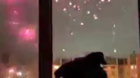 Doggie enjoys fireworks 😎