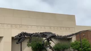 On the Dinosaur Trail, Museum of the Rockies. Bozeman, Montana