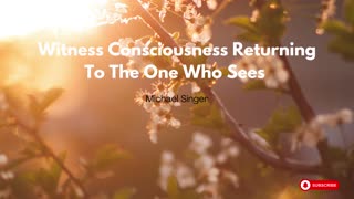 Michael Singer - Witness Consciousness Returning To The One Who Sees