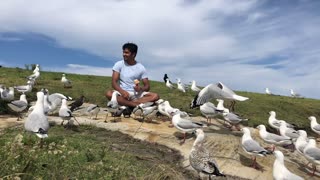 Surrounded by beach creatures