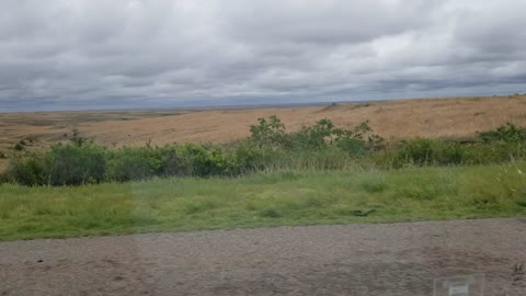 Grassy plains in TX