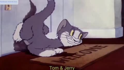 Tom torments Jerry