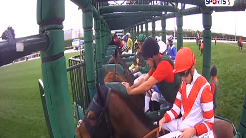 World Horse Racing